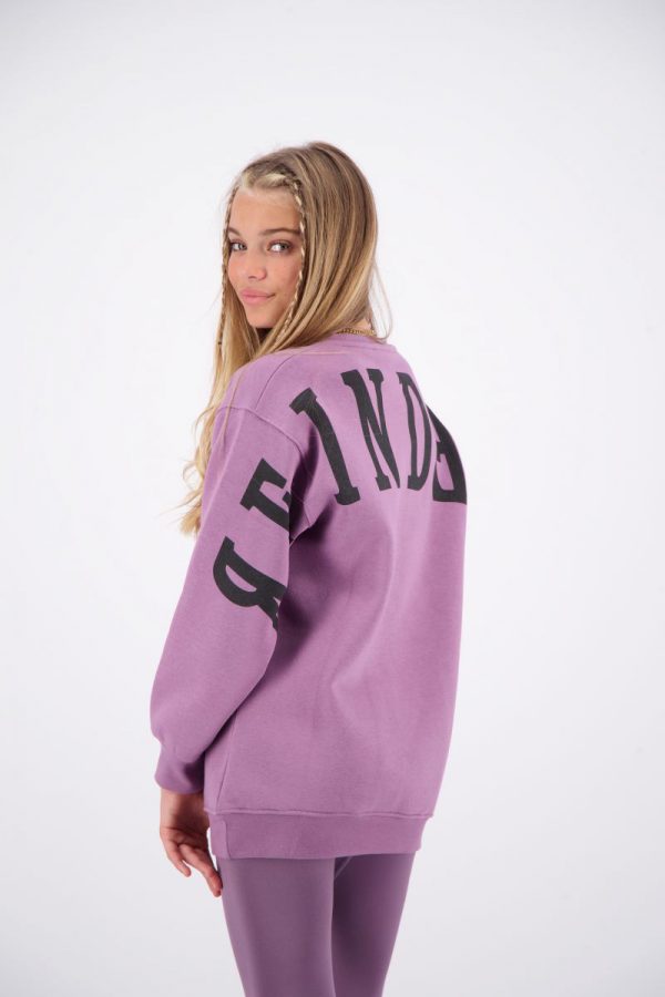 Reinders Sweater Dress - Grapeade