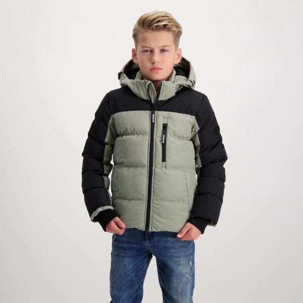 Cars JAS HAMDON Olive