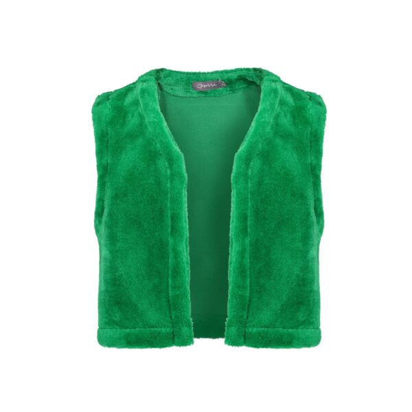 Geisha teddy gilet 35603K-21