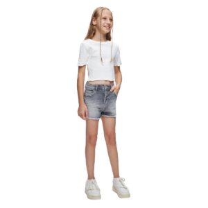 LTB Shorts Layla Grey Denim