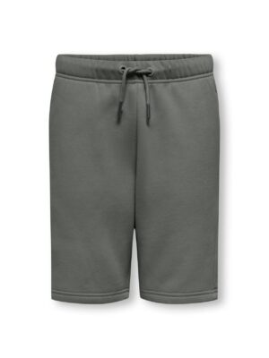 Only OSJCERES Regular fit Shorts Gray