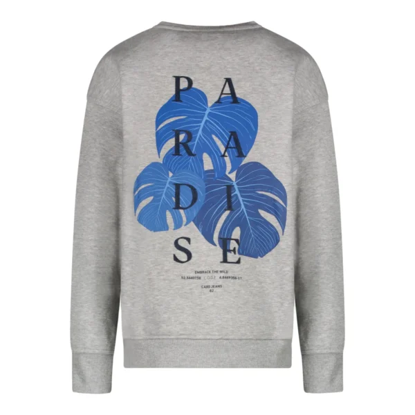 Cars Sweater diso - Image 2