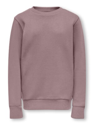 ONLY & SONS  OSJCERES Sweatshirt