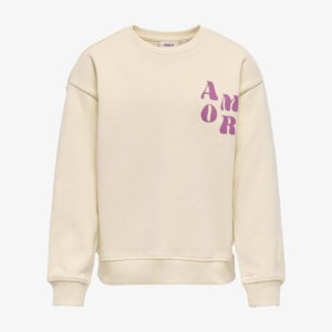 Only Sweatshirt KOGDITTE Birch