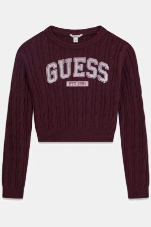 Guess Trui J6YR
