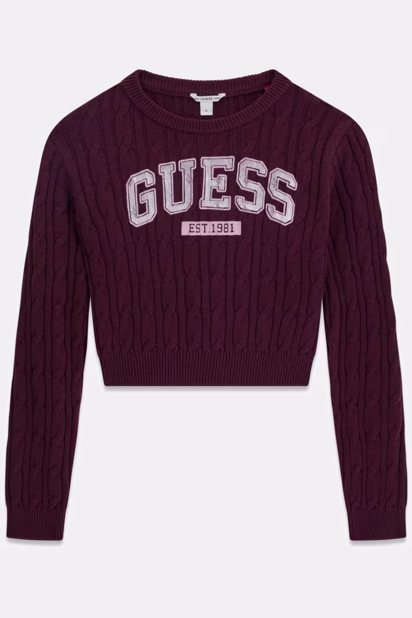 Guess Trui J6YR