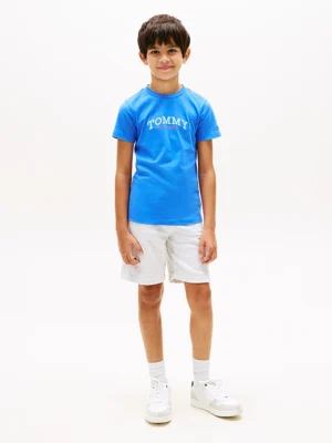 Tommy Hilfiger Monogram Graphic T-shirt Blue