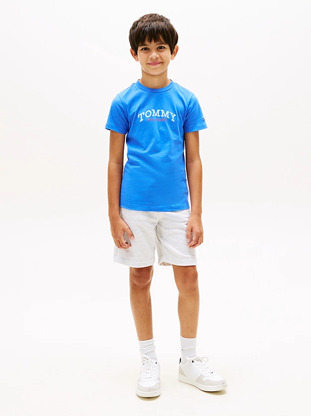 Tommy Hilfiger Monogram Graphic T-shirt Blue