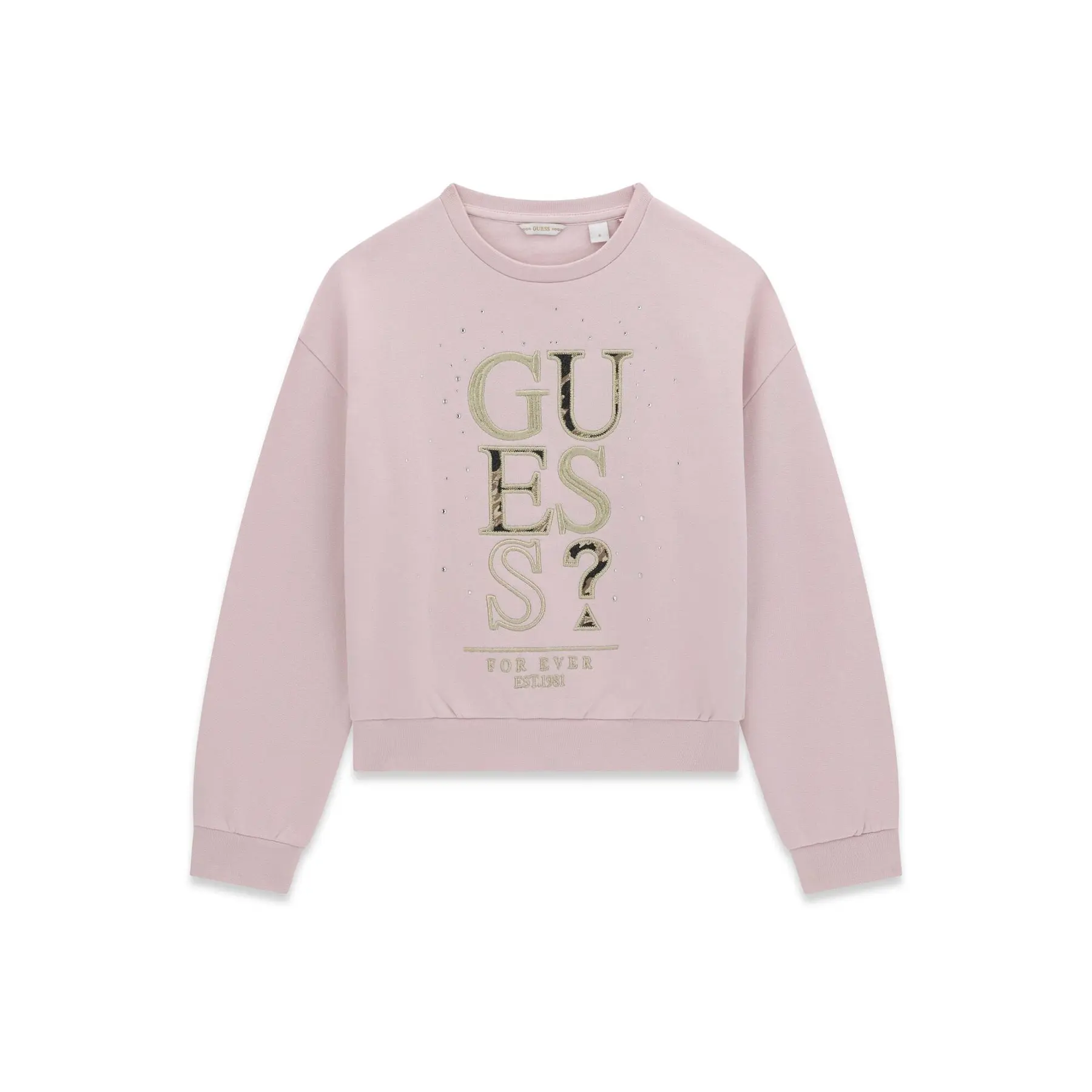 Guess Trui J6BQ