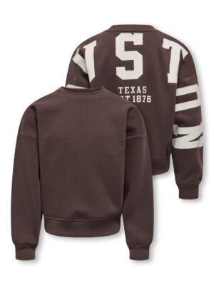 Only Kogsweat Sweatshirt Brown
