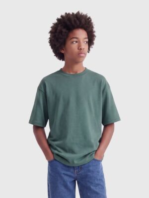 ONLY & SONS OSJCASPIAN T-shirt Silver Pine
